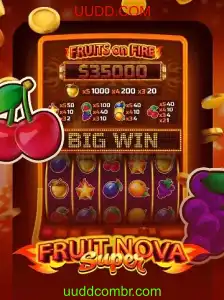 Descubra o Mundo de FruitNovaSuper: Estratégia e Diversão